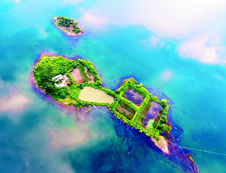   �B�Ձ�(l��i)���G�T(m��n)�ĺ��{����ϴ�������Ƶ�ӳ���ĺӵı�ˮ֮�g���q�����֮�������(m��ng)�����׌�����B������